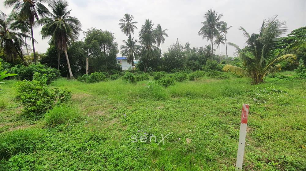 land-for-sale-L-650223-0017